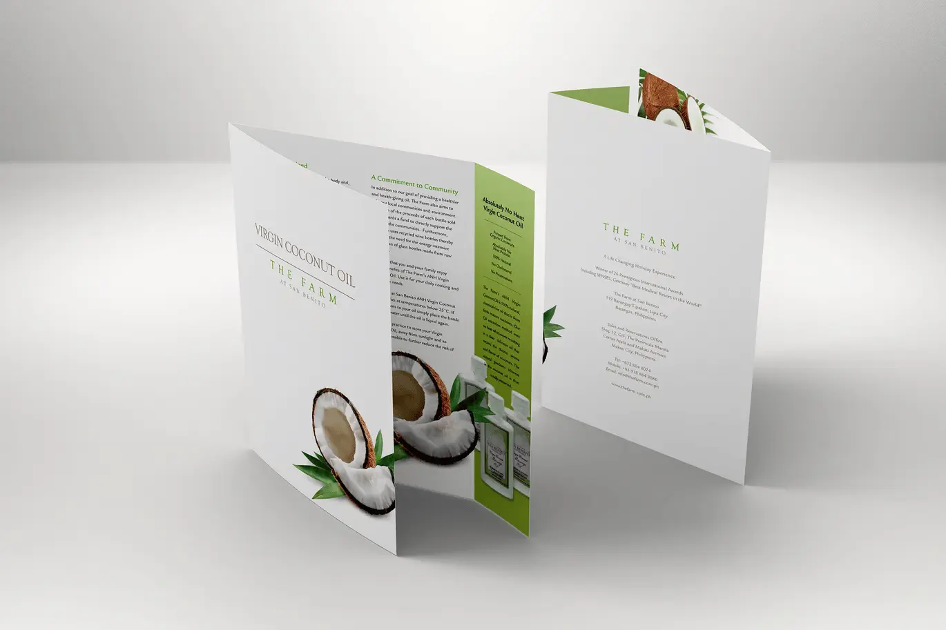 Brochure Design Service