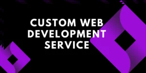 custom web Development service- Feature image